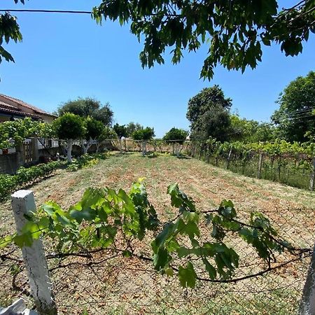 Lemon Tree Apartment Agios Gordios  Exterior foto